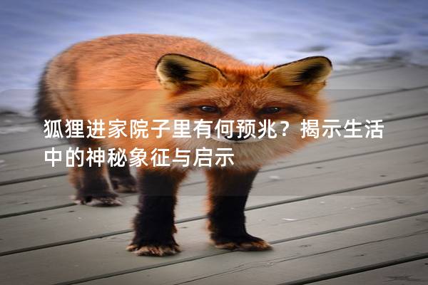 狐貍進(jìn)家院子里有何預(yù)兆？揭示生活中的神秘象征與啟示